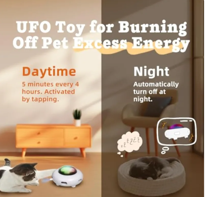 Interactive Automatic Feather Cat Toy with Hair Remover and LED Lights - USB Rechargeable