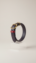 Italian Leather Collar with Brass Accents