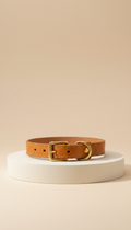 Italian Leather Dog Collar