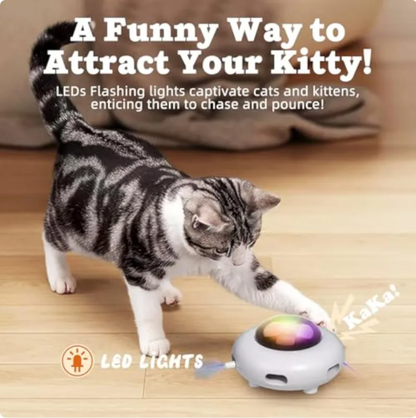Interactive Automatic Feather Cat Toy with Hair Remover and LED Lights - USB Rechargeable